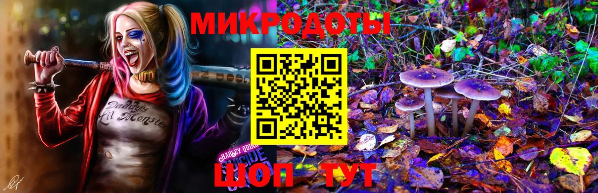 Галлюциногенные грибы MAGIC MUSHROOMS  Галлюциногенные грибы Cubensis  Вход с VPN  Реж 