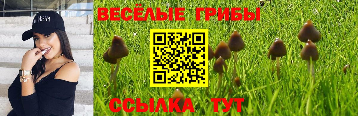 Галлюциногенные грибы Cubensis Реж